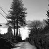 alpellat