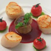 Tern