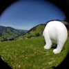charlesnaud