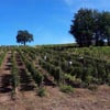 domaine-de-chastelet