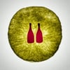 djonwine
