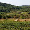 krapok