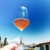 livin_lovin_wine