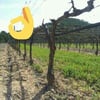 ManuMarín