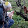 domaine-de-la-tour-brune