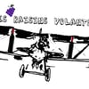 raisinsvolants