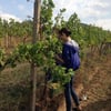 Vera_in_Wineland