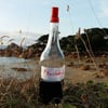polovino