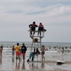 sanscarabistouilles