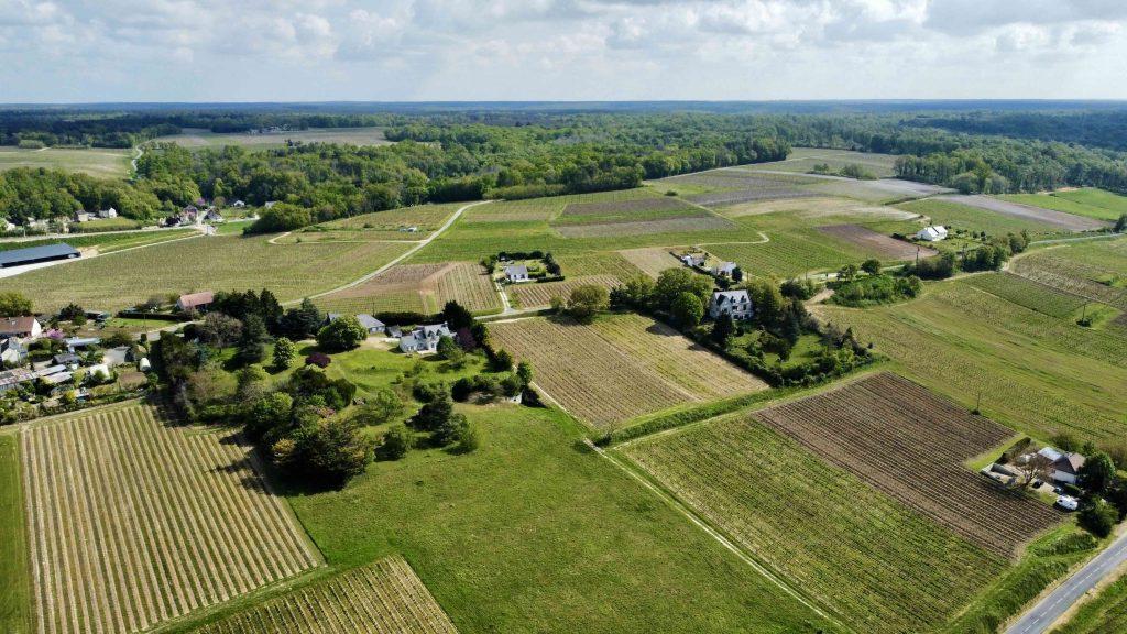 Domaine des Bernards