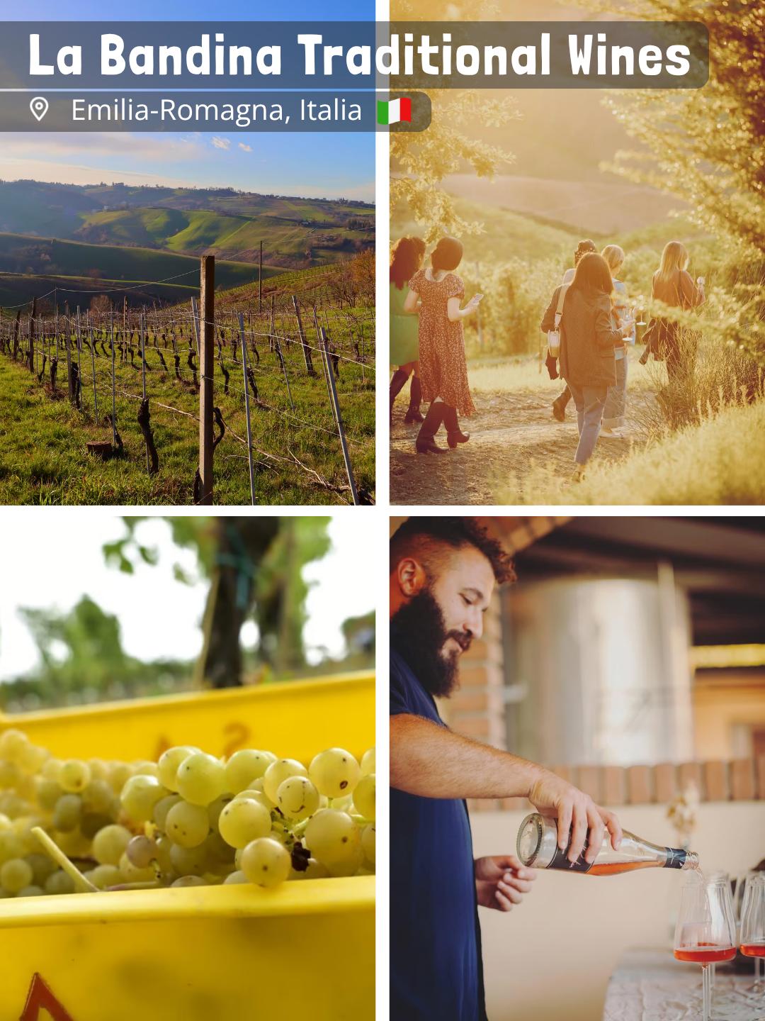 La Bandina Traditional Wines