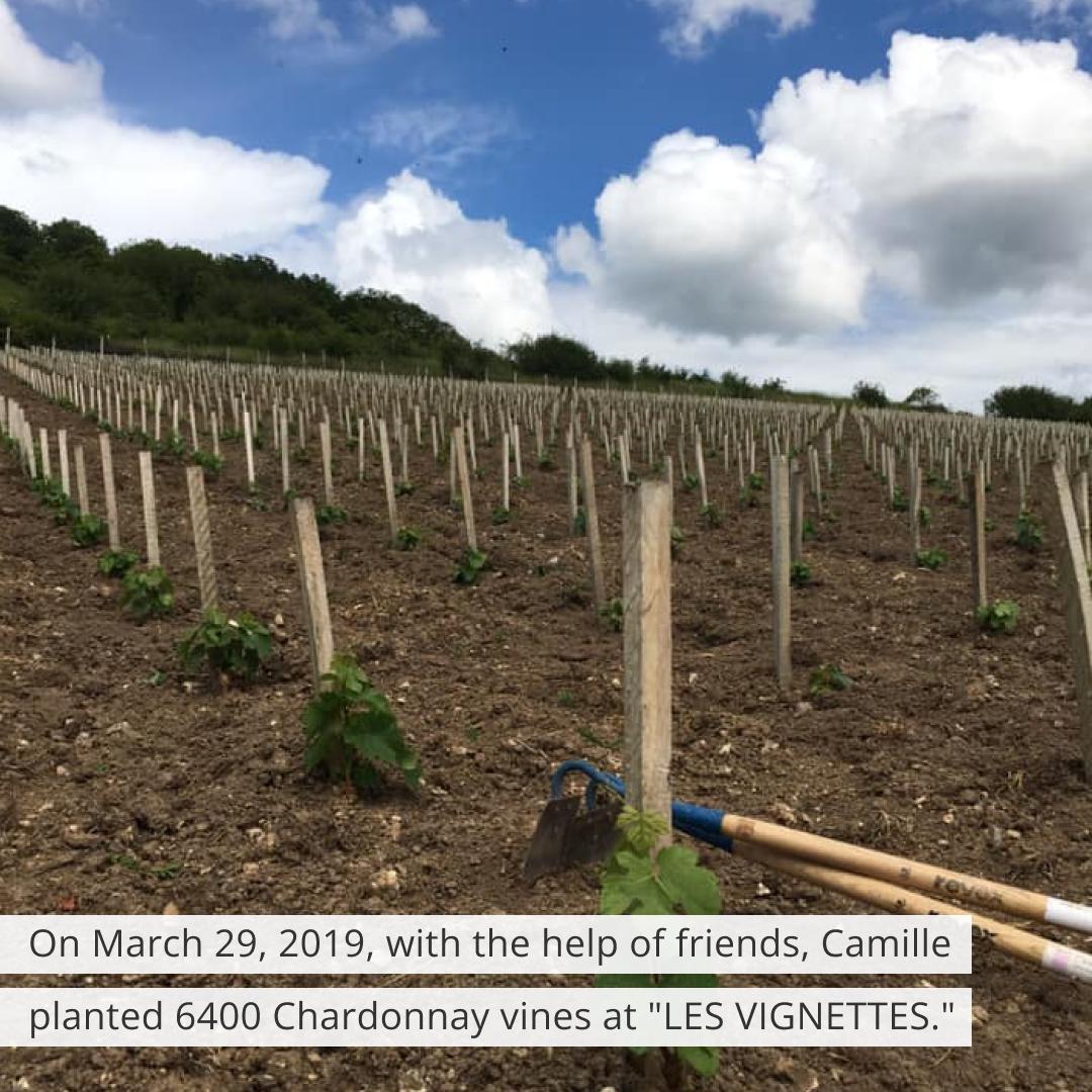 Camille Ravinet - Vin des Coteaux de Giverny Camille Ravinet - Vin des Coteaux de Giverny