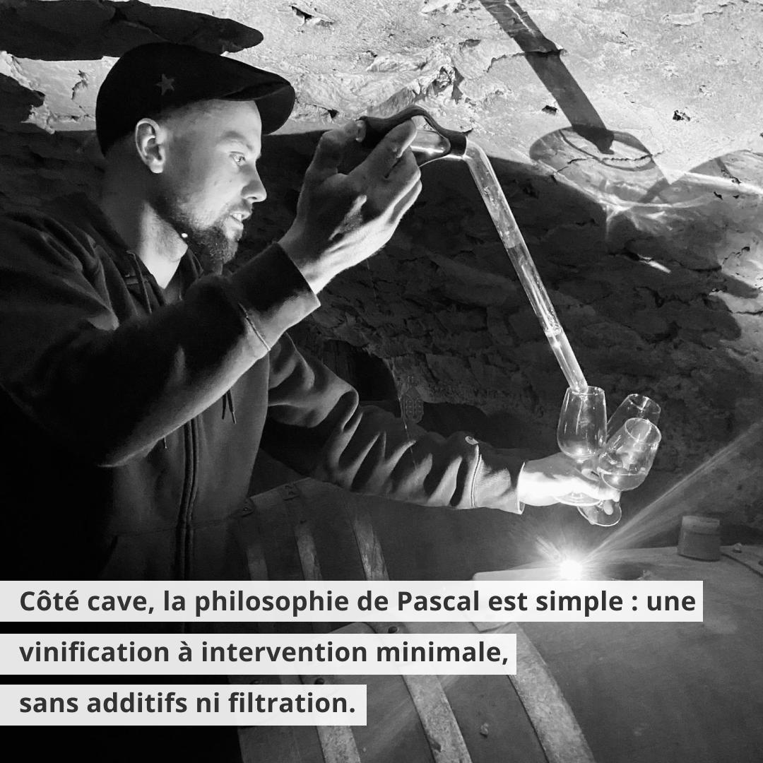 Pascal Treichler - Natural Wine