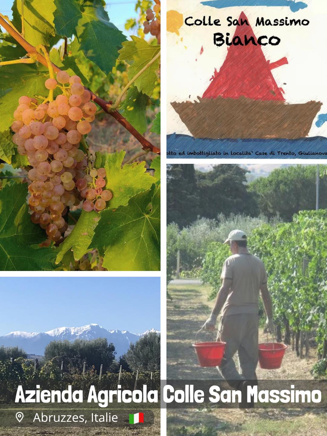 Azienda Agricola Colle San Massimo - Enrico Gallinaro