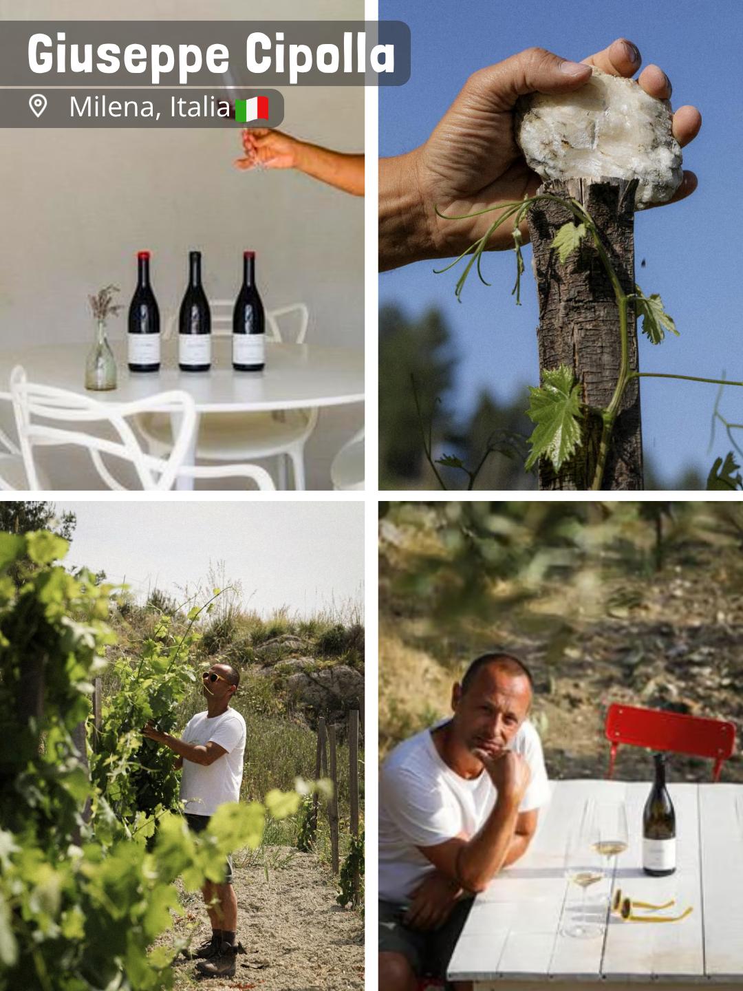 Azienda Agricola Giuseppe Cipolla