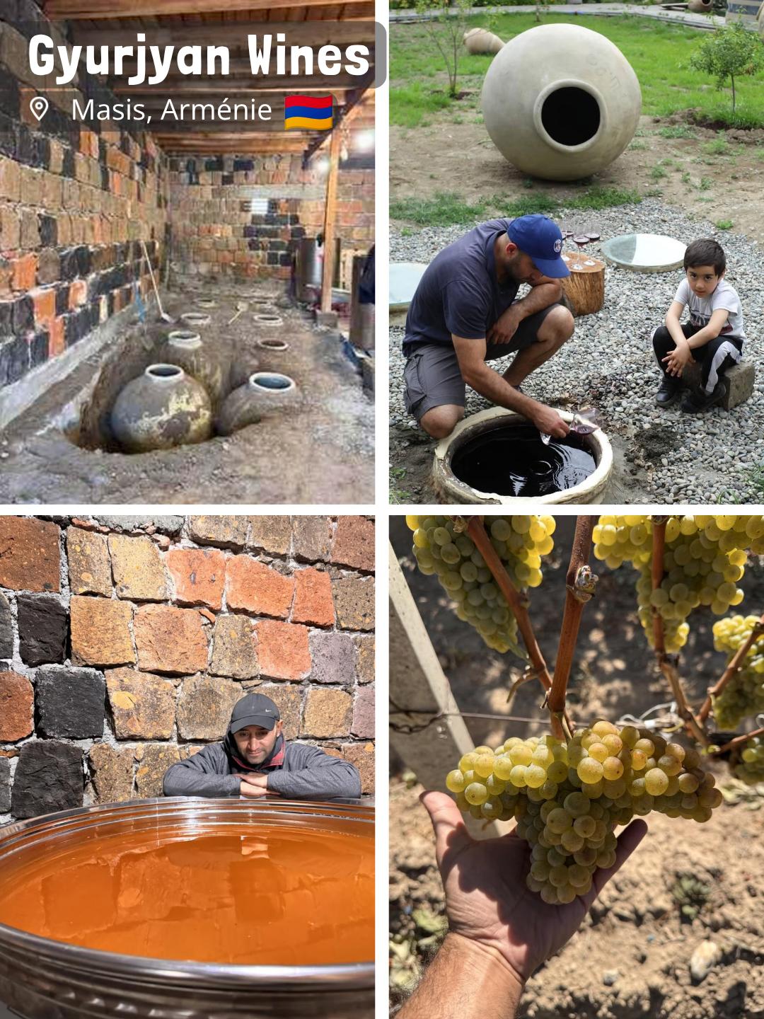 Gyurjyan Wines