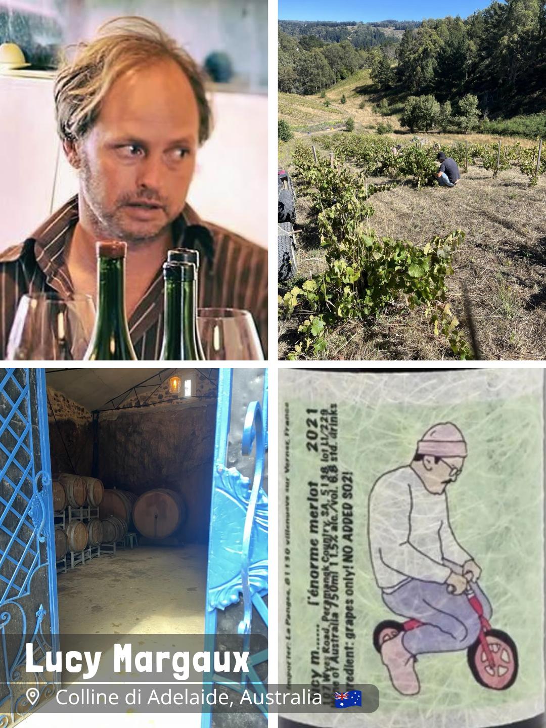 Vins Lucy Margaux - Anton Van Klopper