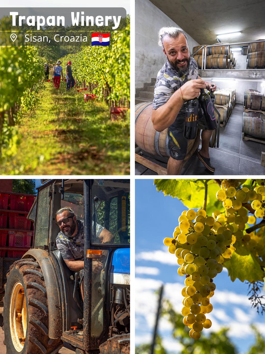 Trapan Winery