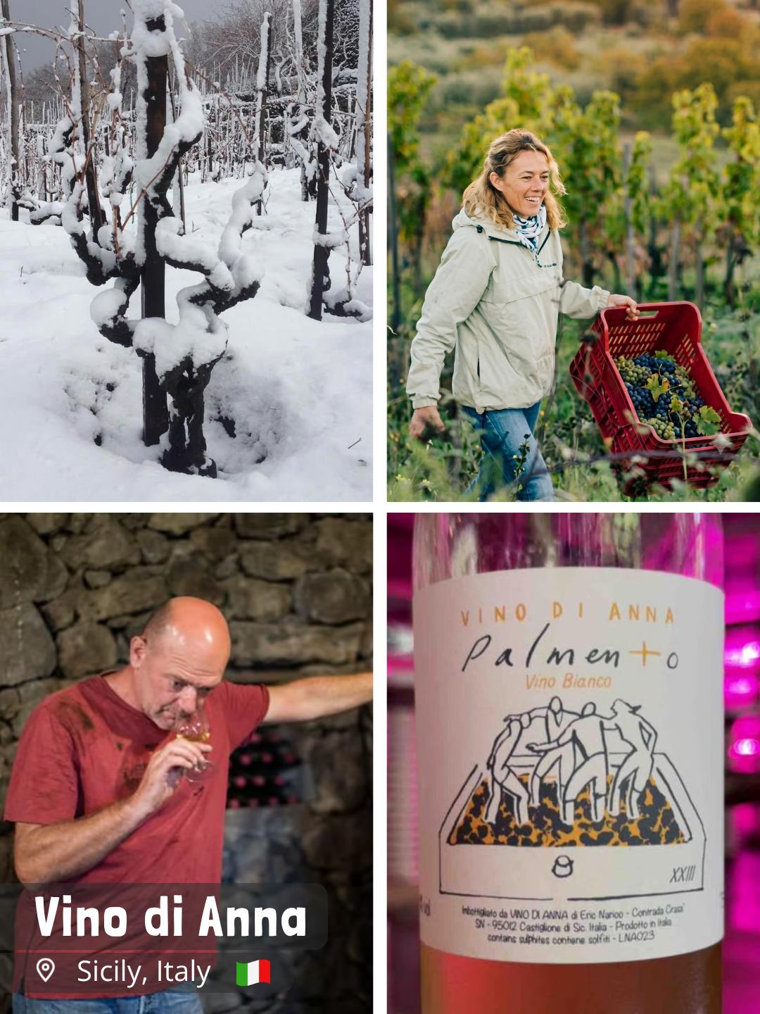 Vino di Anna - Anna Martens & Eric Narioo