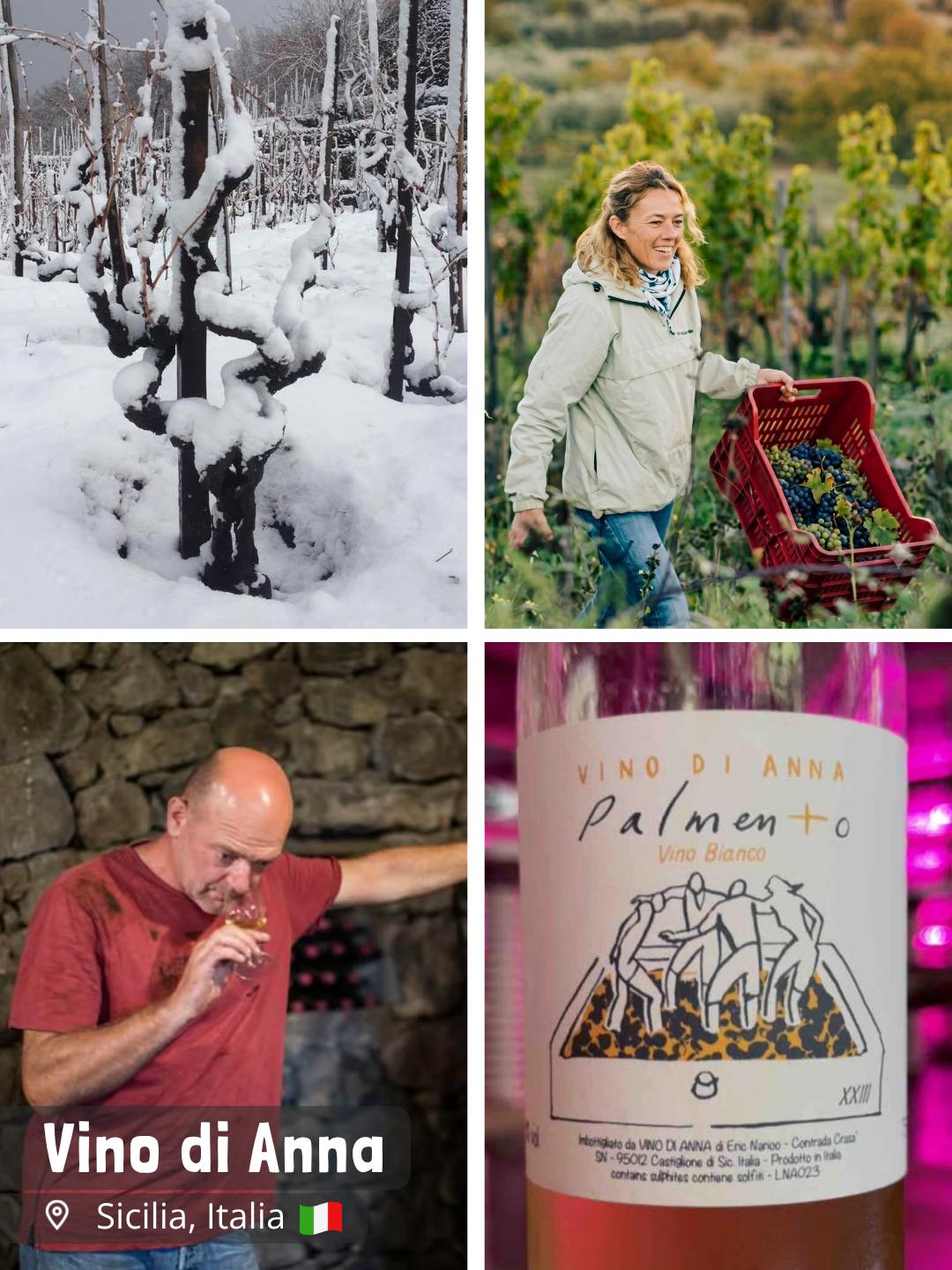 Vino di Anna - Anna Martens & Eric Narioo