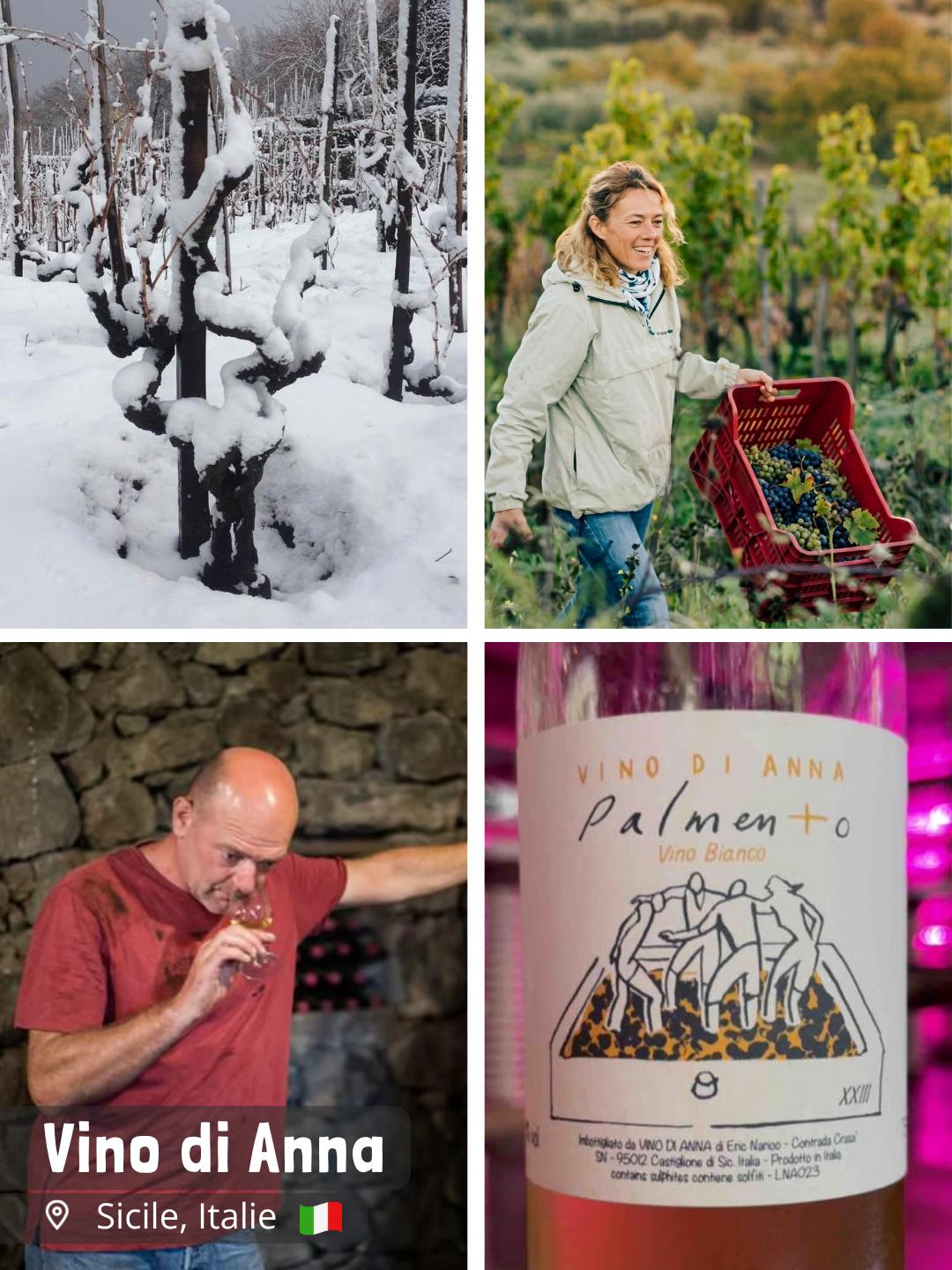 Vino di Anna - Anna Martens & Eric Narioo