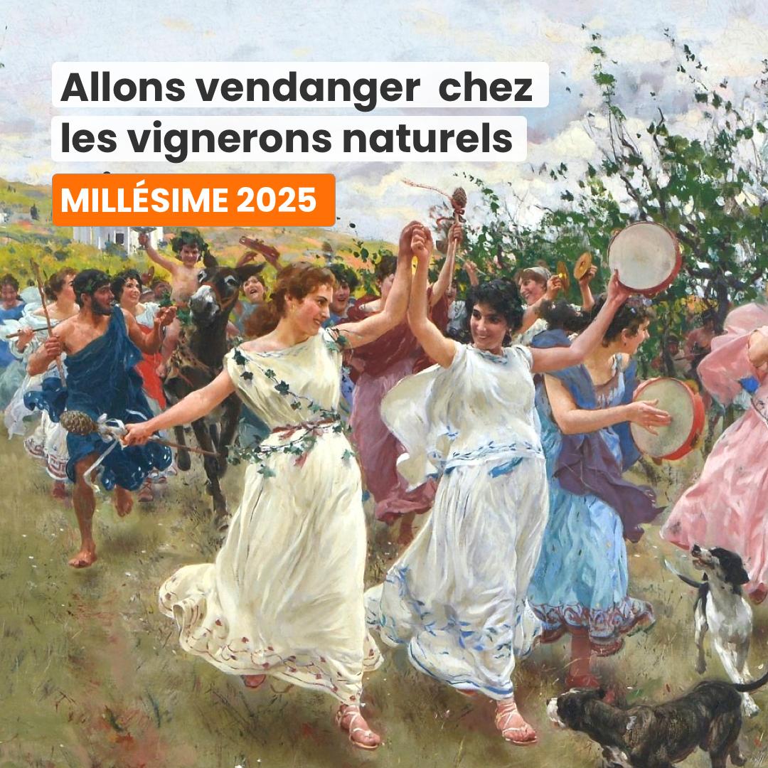 Allez vendanger chez les vignerons naturels - 2025 !