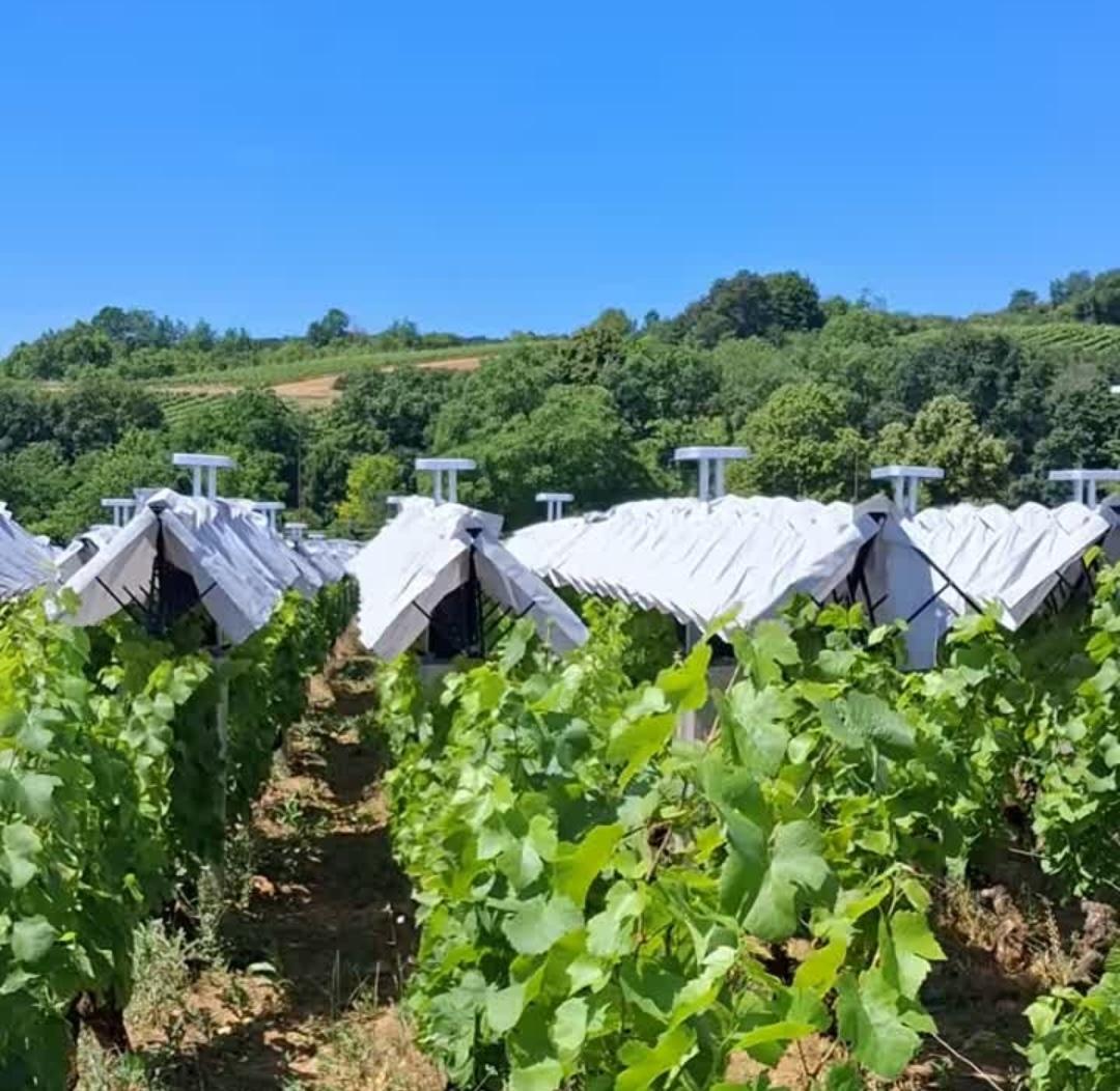 des Canopées Bienesis fermées