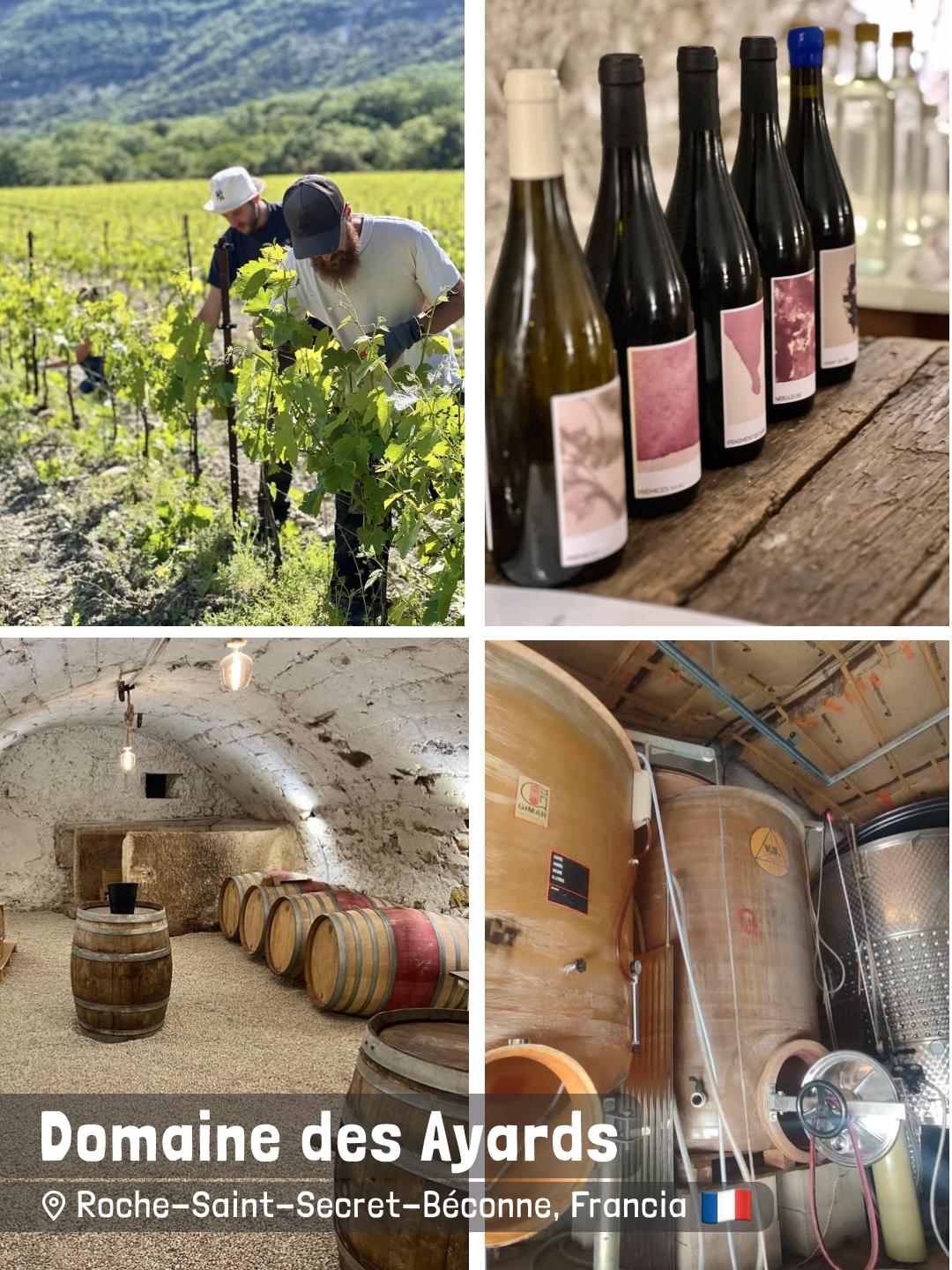 Domaine des Ayards