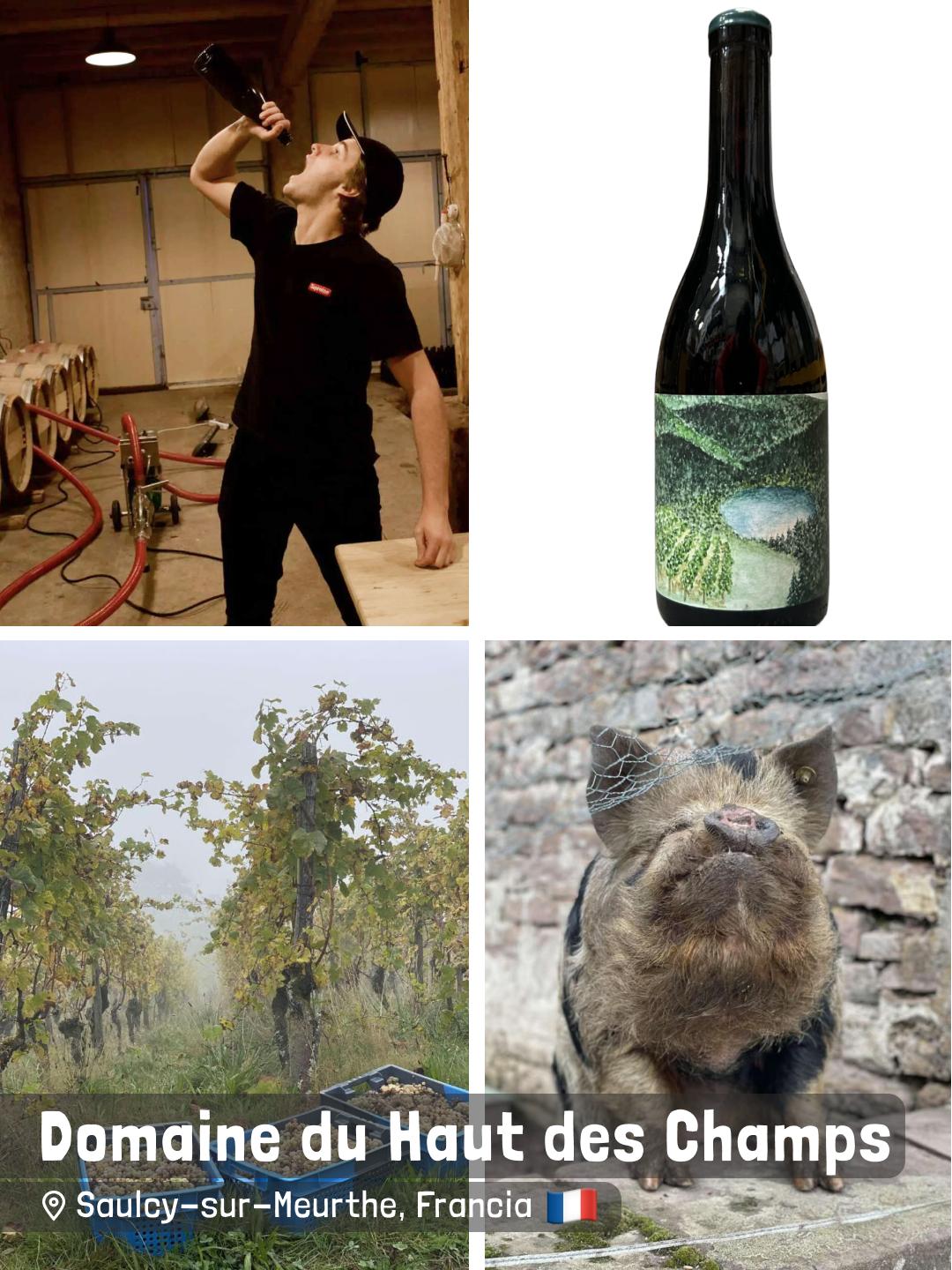 Domaine du Haut des Champs