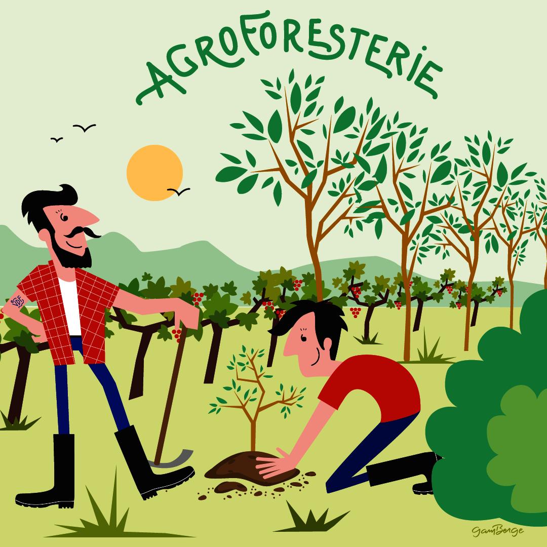  « Vin de France » ?
