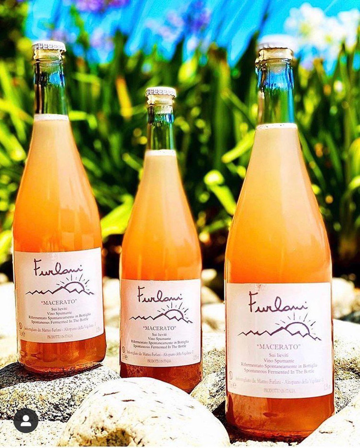 Furlani at Highland Park Wine!