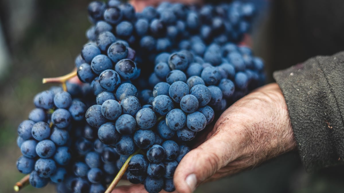natural grape (organic)