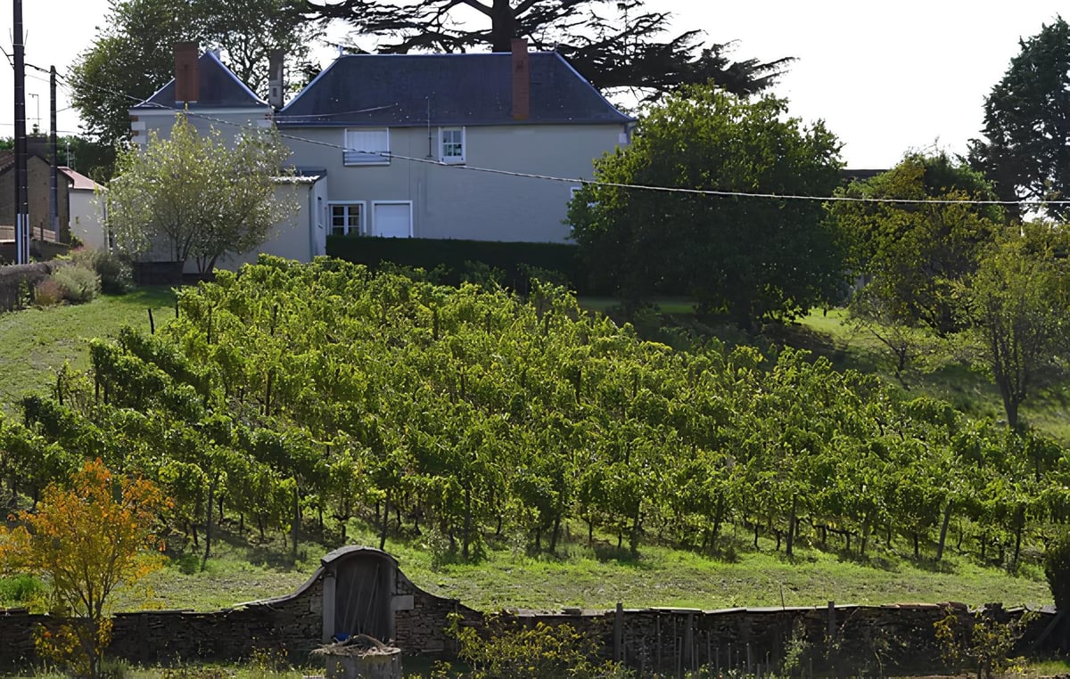 Clos du Treil