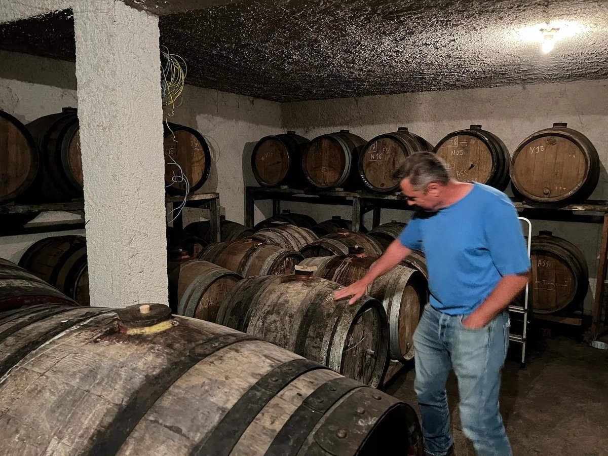 fermentation in cave