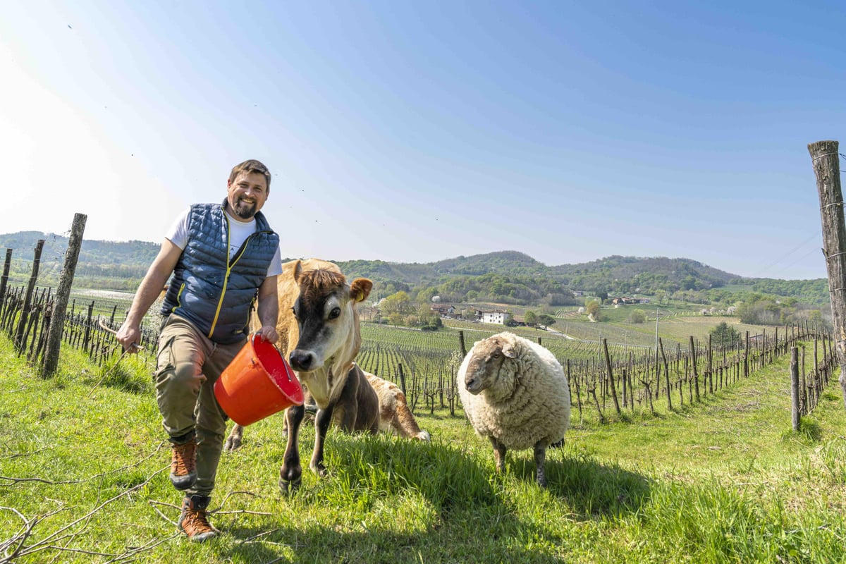 Edi Keber in his vineyards