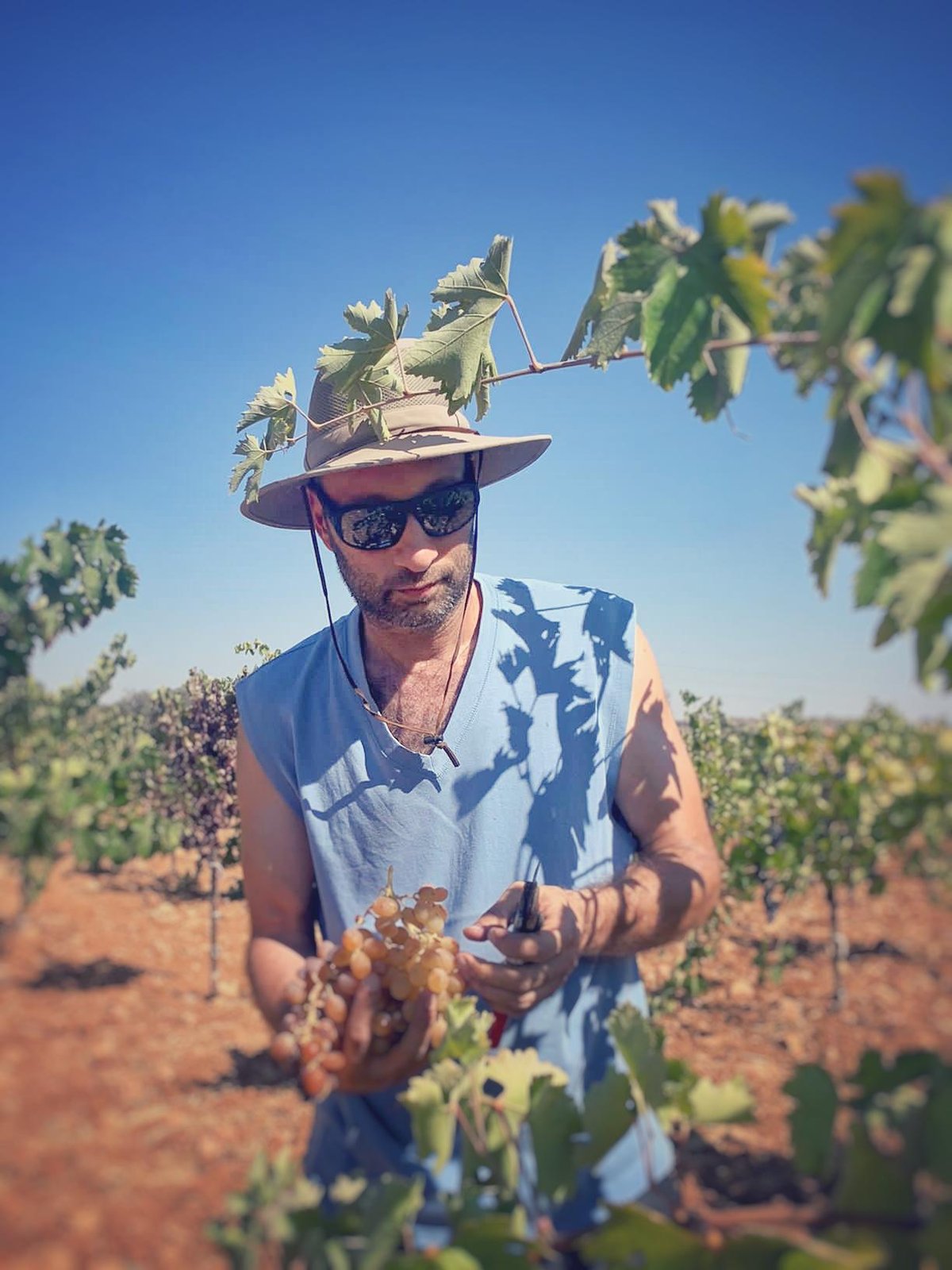 Sari Khouri
