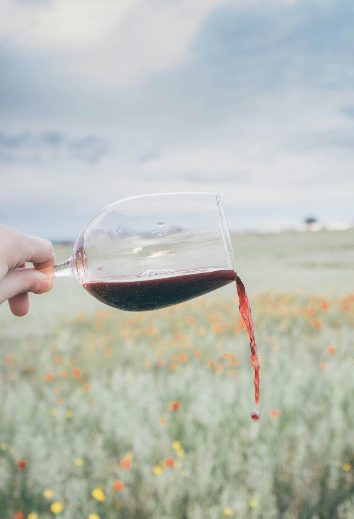 Terpenes in wine