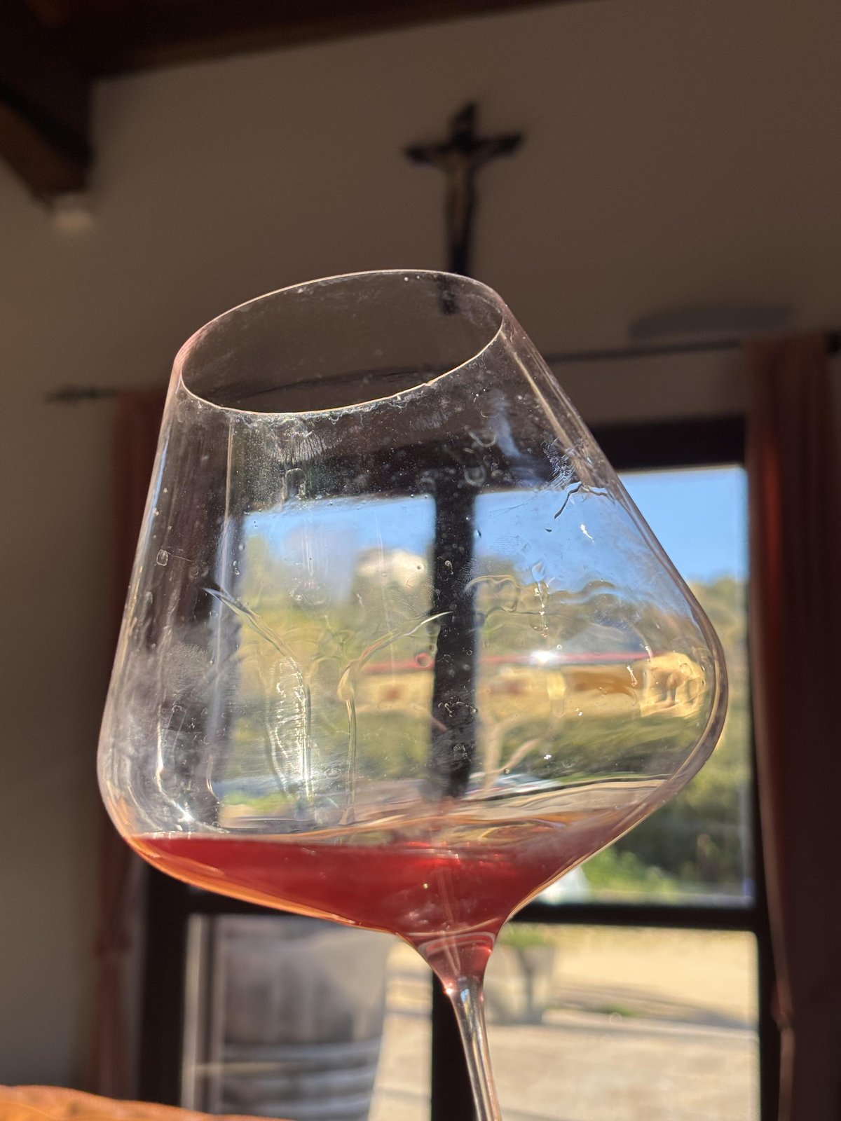 A large tasting glass containing a small amount of natural red wine.