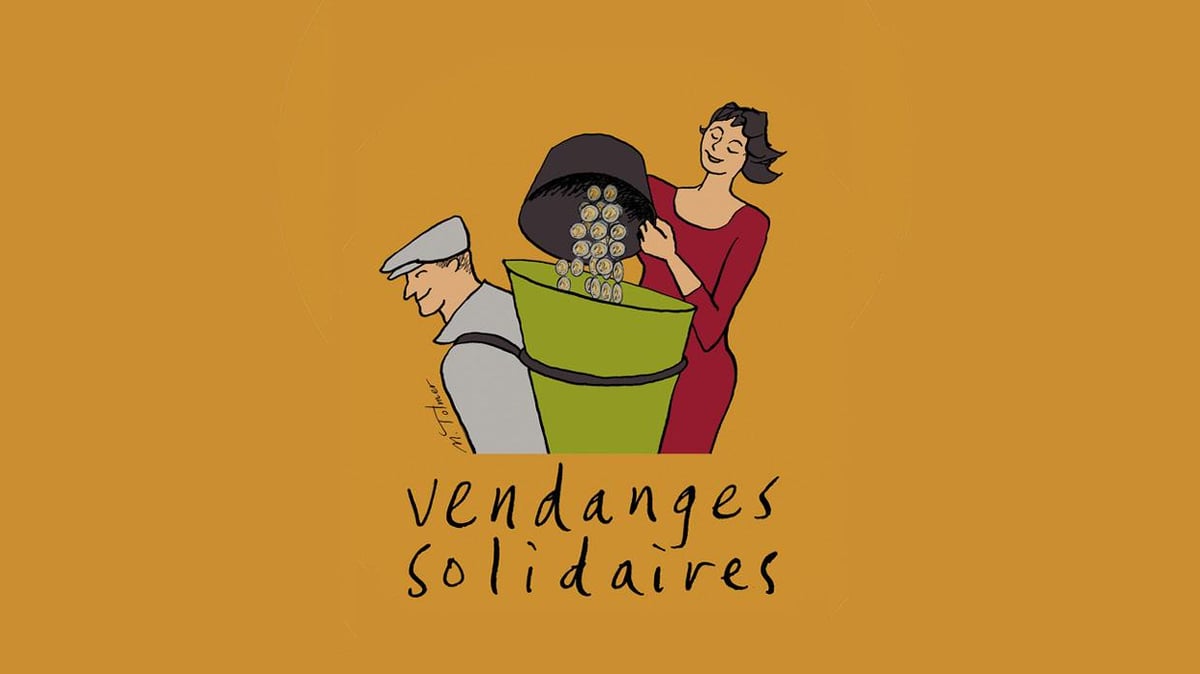  The Les Vendanges Solidaires Association 