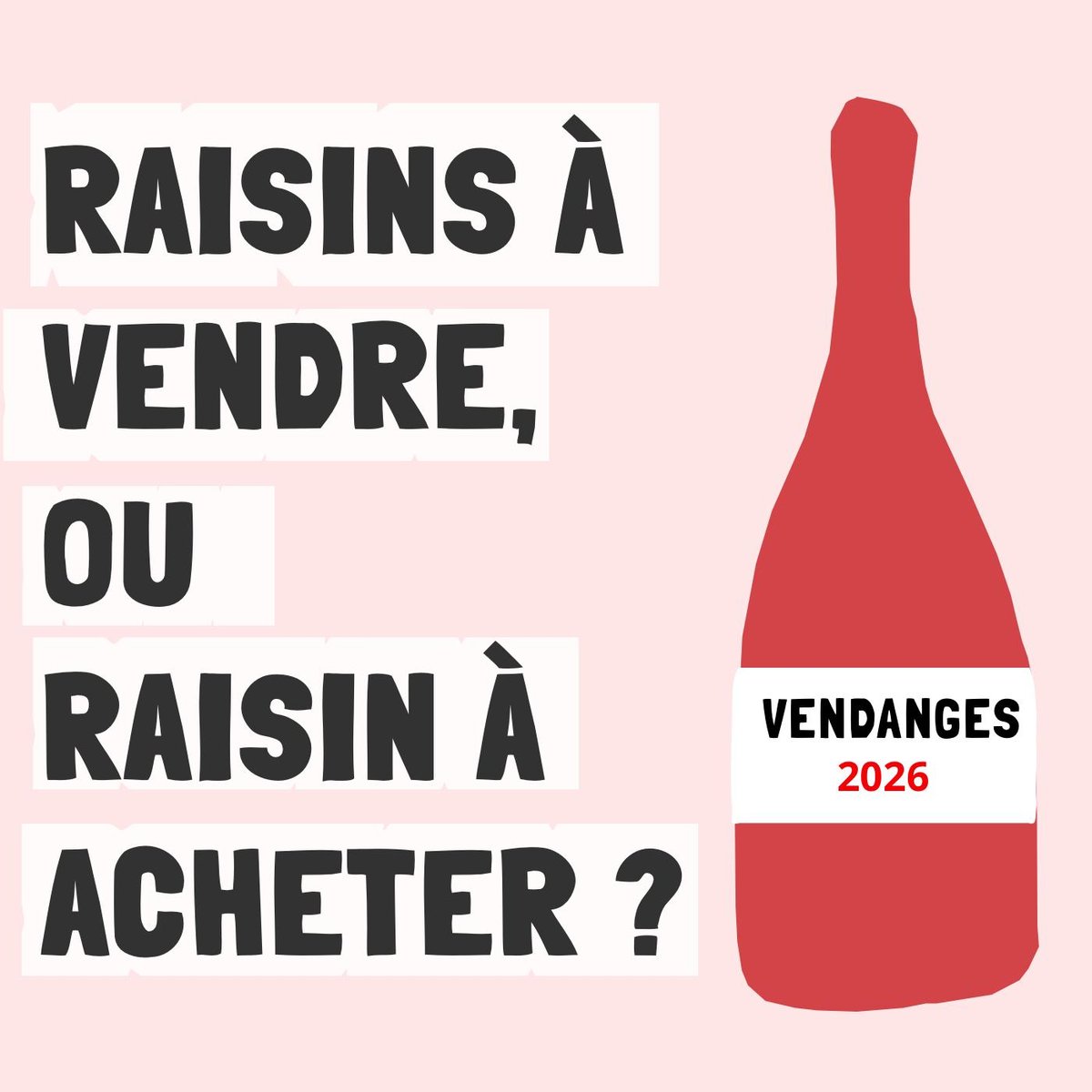 Achat de raisin, vente de raisin 2026 : découvrez la bourse d'échange, c'est gratuit !