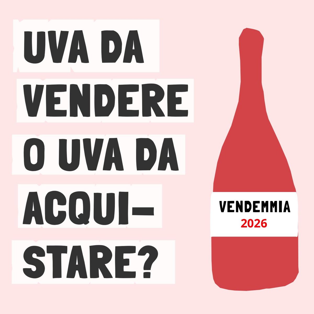 Chi compra e chi vende uve - Raisin vi mette in contatto!