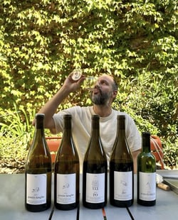 Domaine Vento - Alessandro del Grosso logo