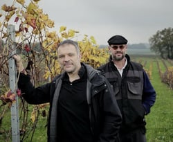 Vin Metis - Claude-Etienne Tardy & Francis Rousset logo