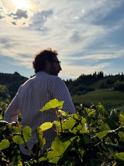 Tinti Chianti - Daniele Tinti logo