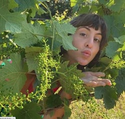 Vin de La Gamba - Alanna Lagamba logo