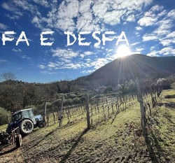 FaeDesfa - Azienda Agricola Fasolo Paolo - Alberto Buratti logo