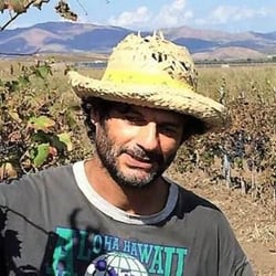 Azienda Agricola Alessandro Viola - Alessandro Viola logo