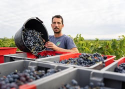 Domaine Alexandre Hote - Alexandre Hote logo