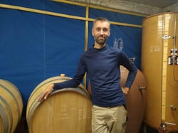 Domaine De L’Enviegne - Alexis Tondeur logo