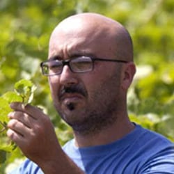 Vini Barraco - Antonino Barraco logo